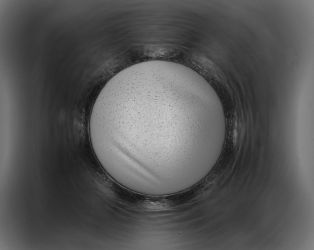 X0000086890510200705071225