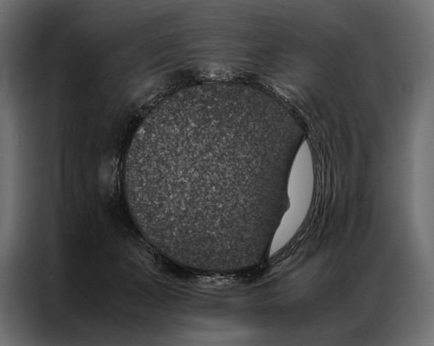 X0000086890511200705071225