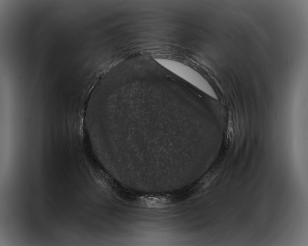 X0000086890512200705071225