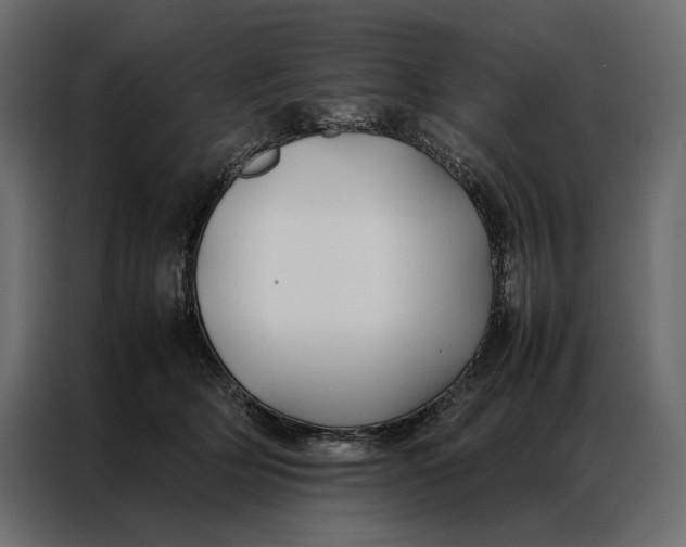 X0000086890514200705071225