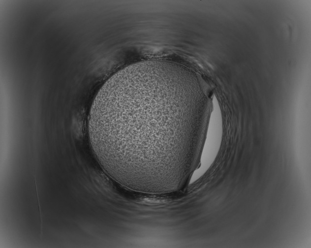 X0000086890515200705071225