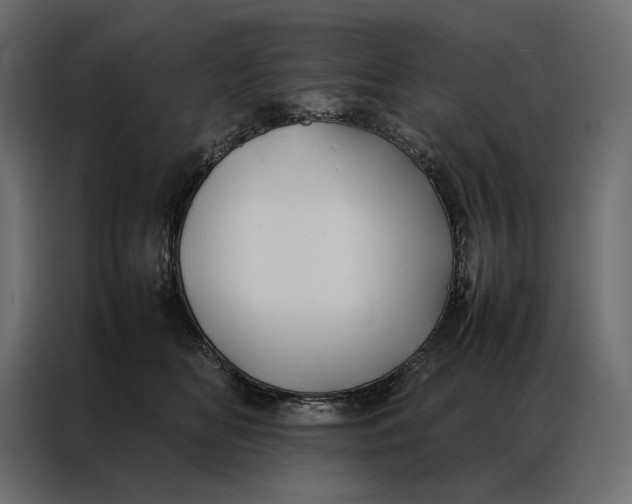 X0000086890518200705071225