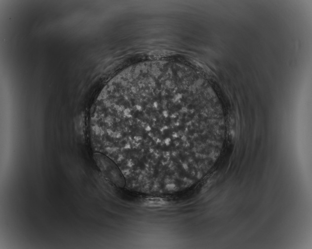 X0000086890519200705071225