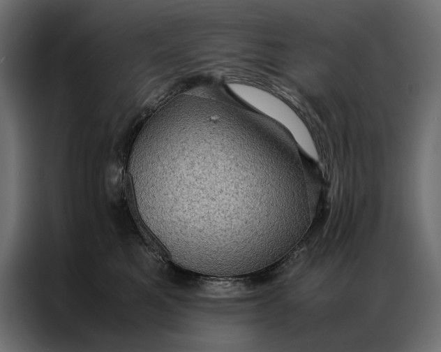 X0000086890521200705071225