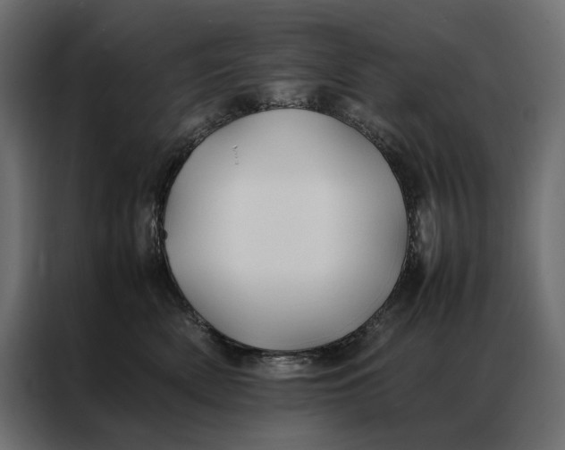 X0000086890522200705071225