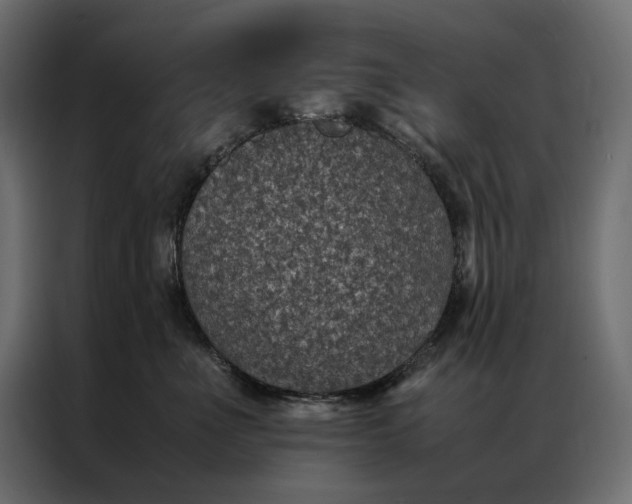 X0000086890523200705071225