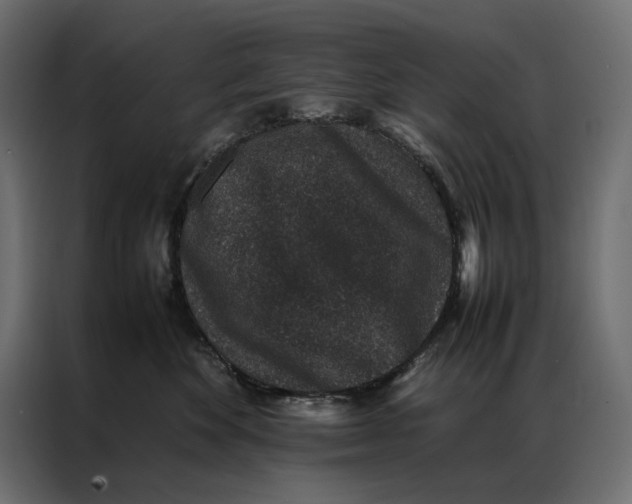 X0000086890524200705071225