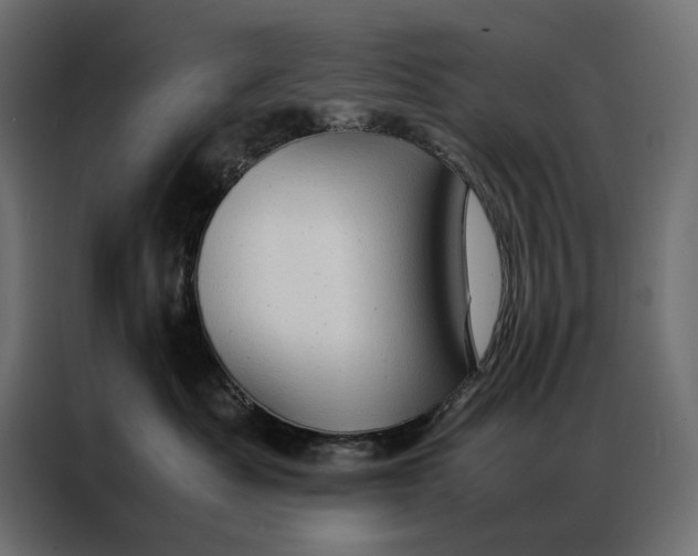 X0000086890525200705071225