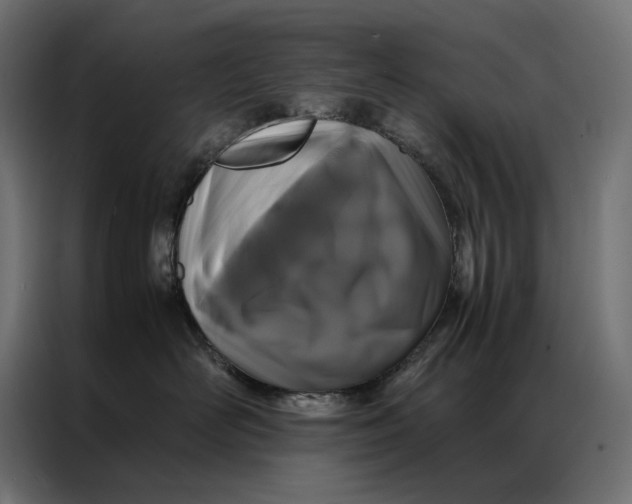 X0000086890526200705071225