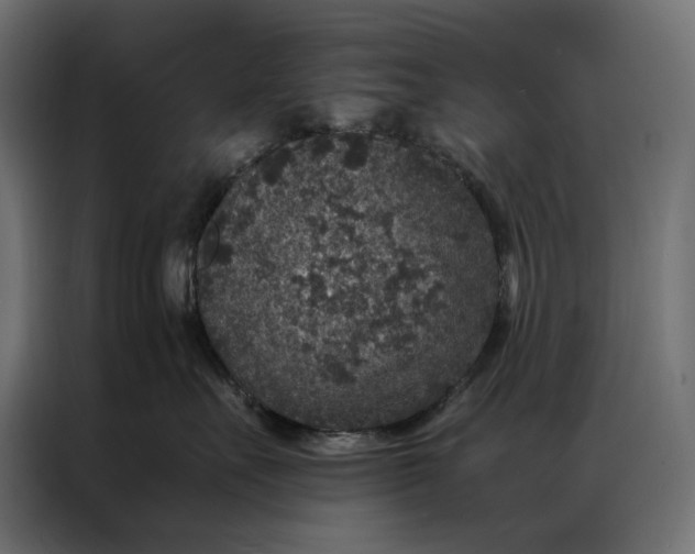 X0000086890527200705071225