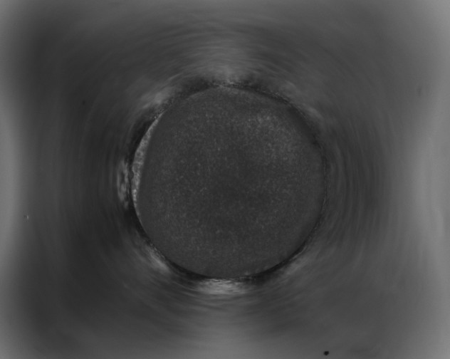 X0000086890528200705071225