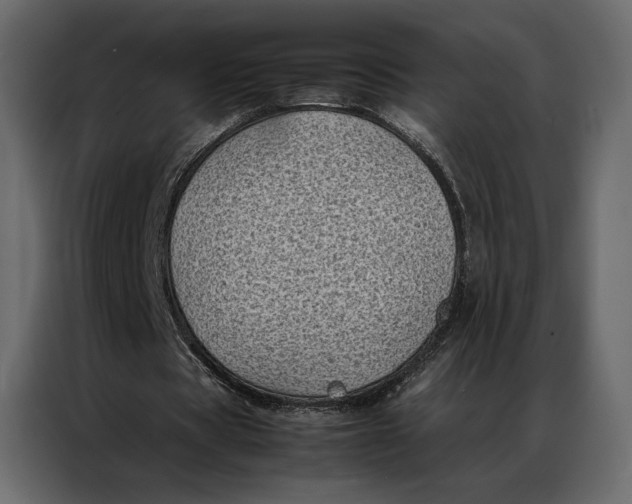 X0000086890529200705071225