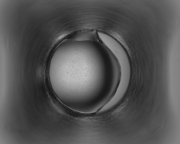 X0000086890530200705071225