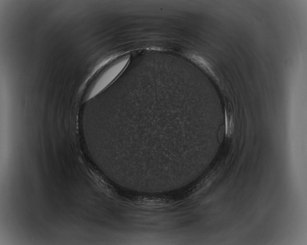 X0000086890531200705071225