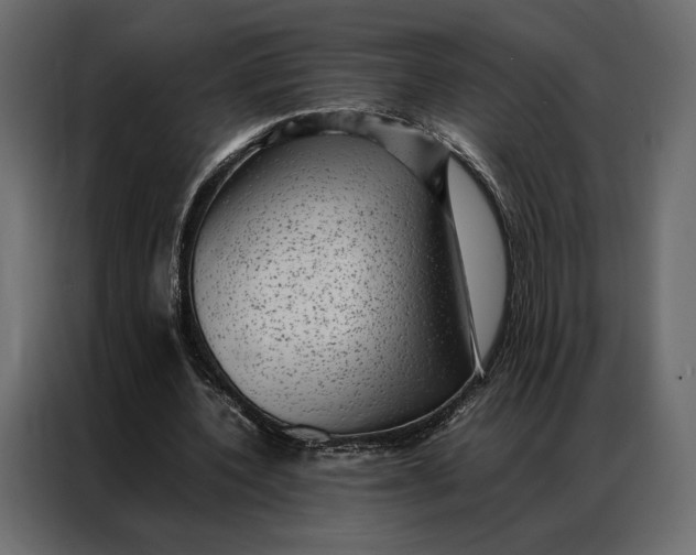 X0000086890532200705071225