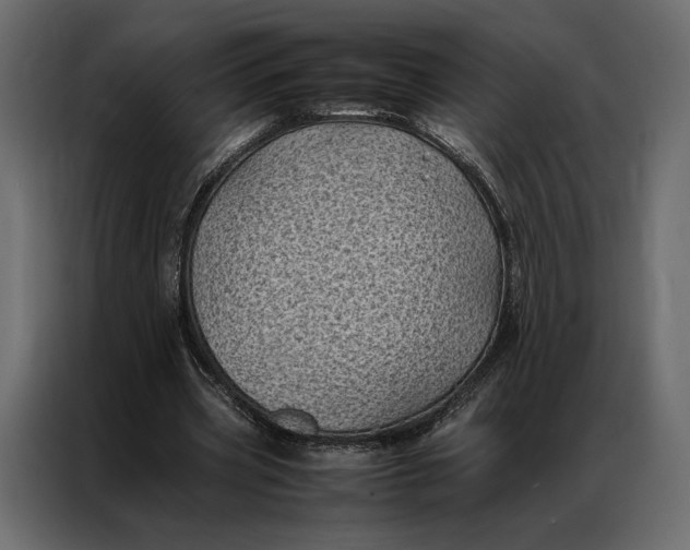 X0000086890533200705071225