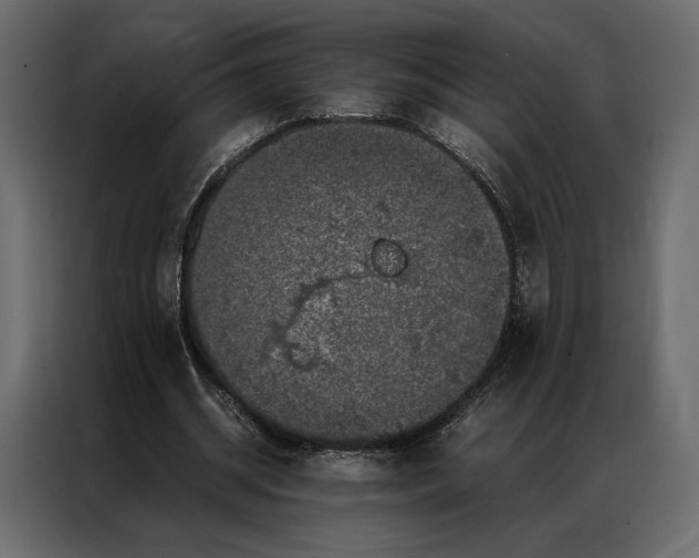 X0000086890534200705071225