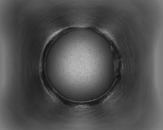 X0000086890536200705071225