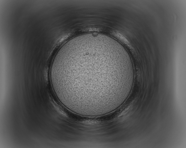 X0000086890537200705071225