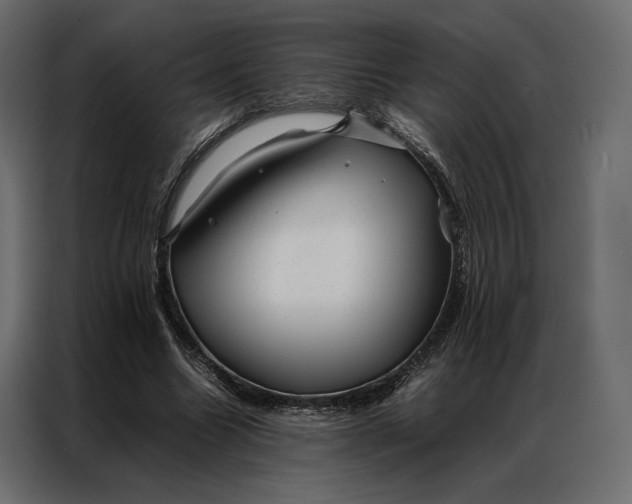 X0000086890538200705071225