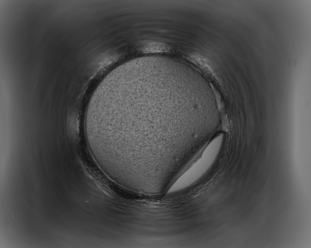 X0000086890539200705071225