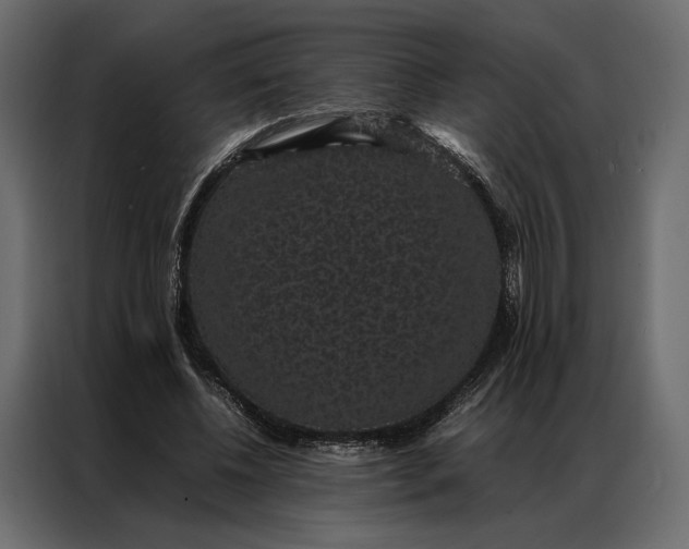 X0000086890540200705071225