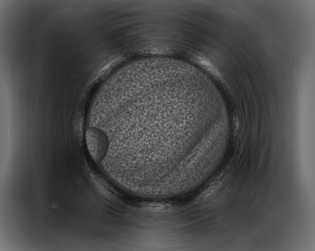 X0000086890542200705071225