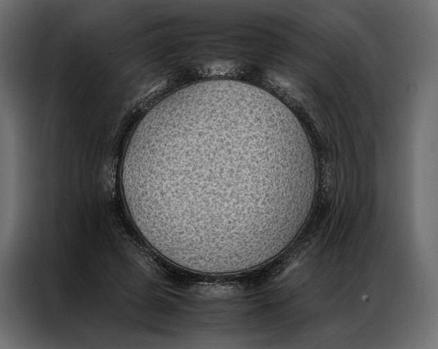 X0000086890545200705071225