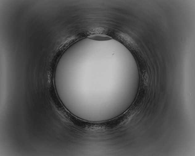 X0000086890546200705071225