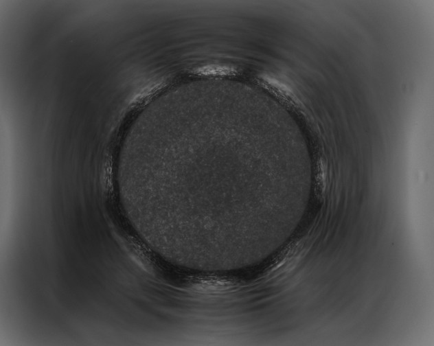 X0000086890547200705071225