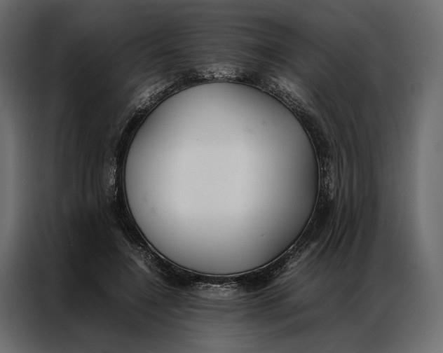 X0000086890548200705071225