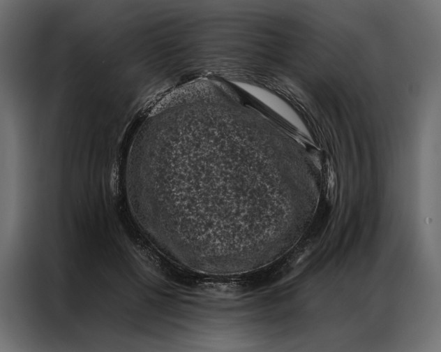 X0000086890552200705071225