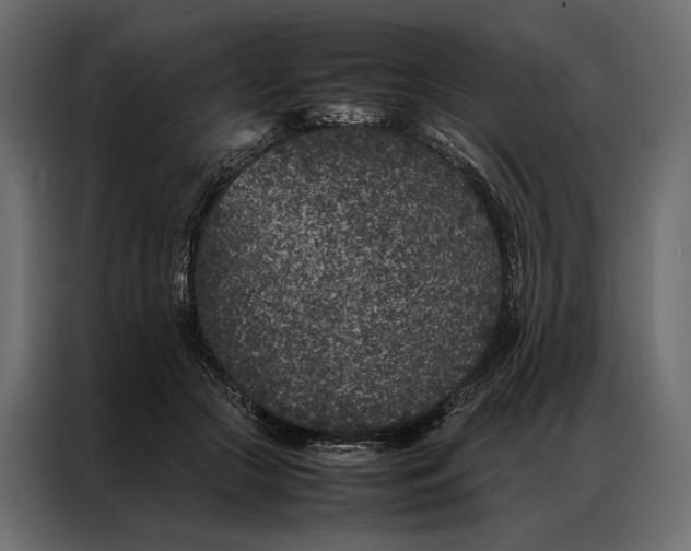 X0000086890553200705071225