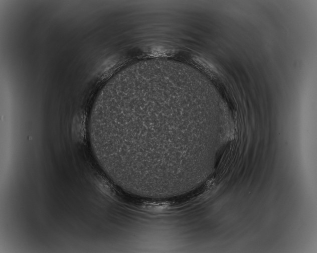 X0000086890554200705071225