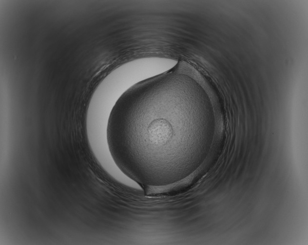 X0000086890556200705071225