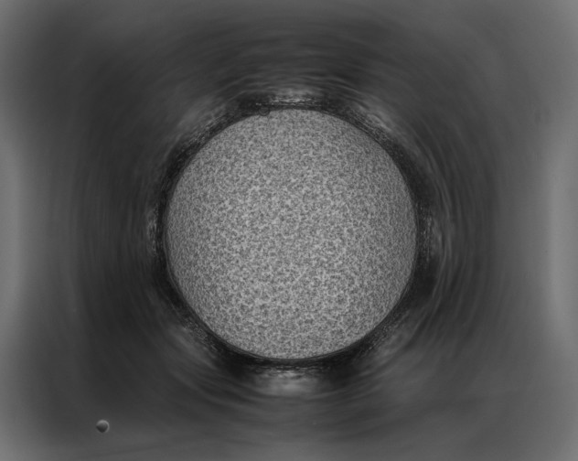 X0000086890557200705071225