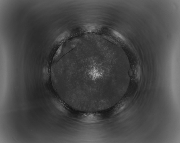 X0000086890558200705071225