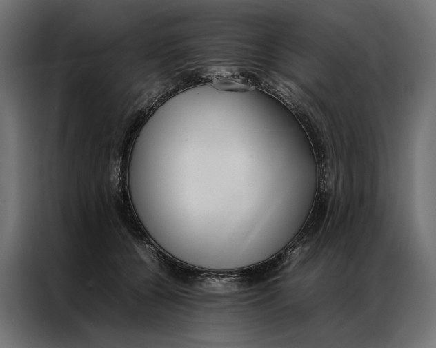 X0000086890560200705071225