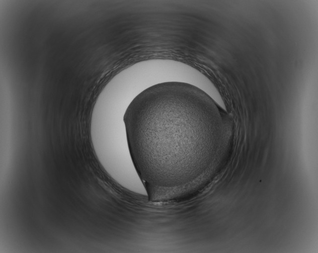 X0000086890564200705071225