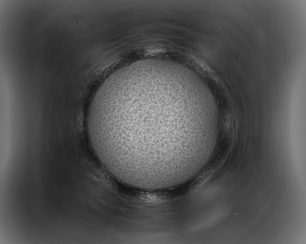 X0000086890565200705071225