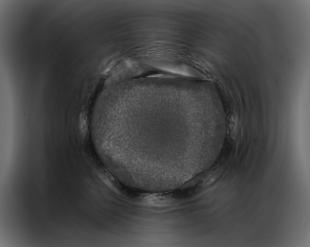 X0000086890568200705071225