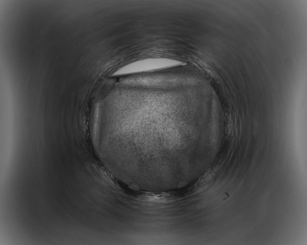 X0000086890569200705071225