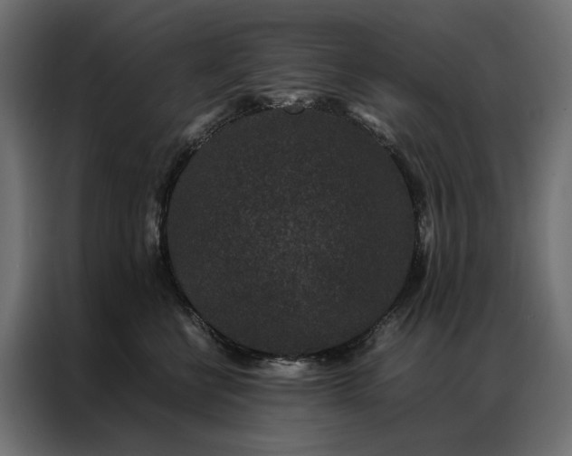 X0000086890570200705071225