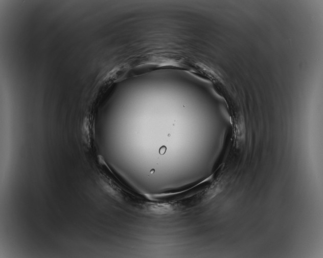 X0000086890572200705071225