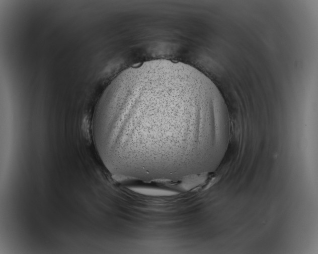 X0000086890575200705071225