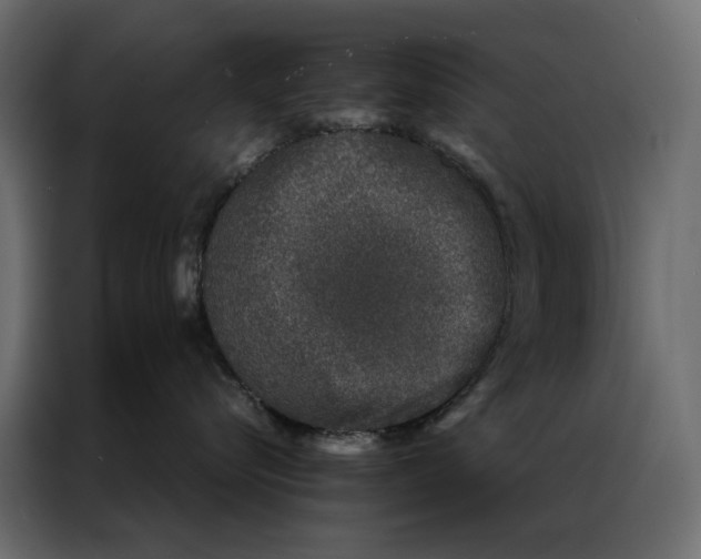 X0000086890576200705071225