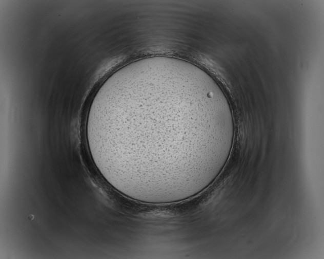 X0000086890578200705071224