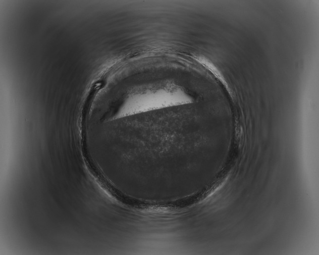 X0000086890581200705071224