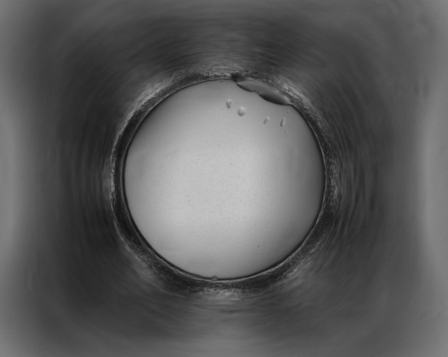 X0000086890582200705071224