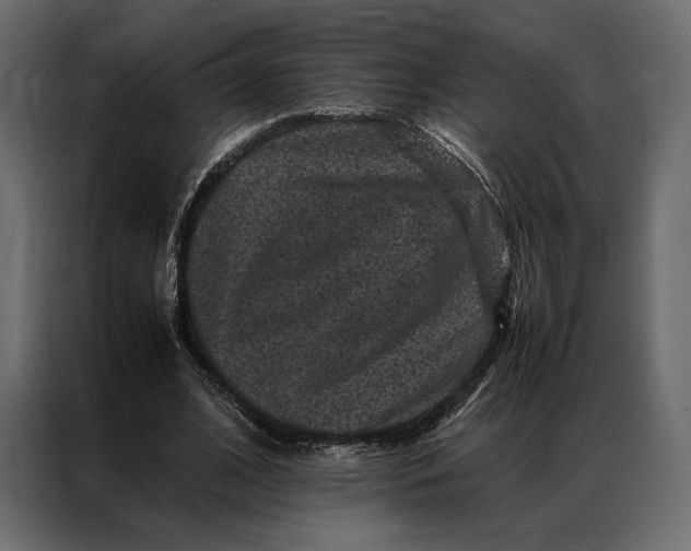 X0000086890584200705071224